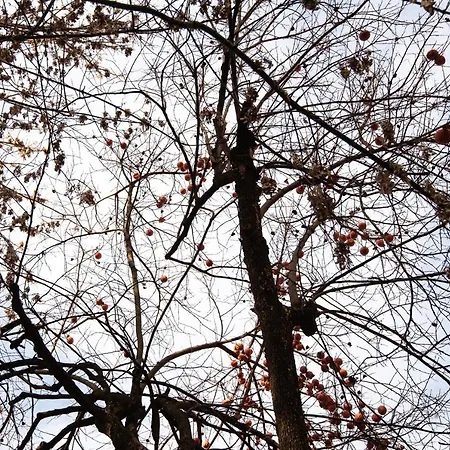 La Meridiana Bed & Breakfast